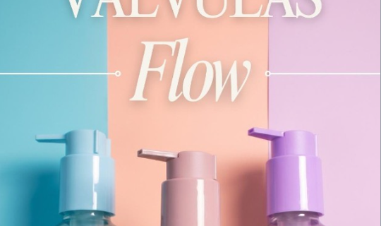 ValvulasFlowColoridas